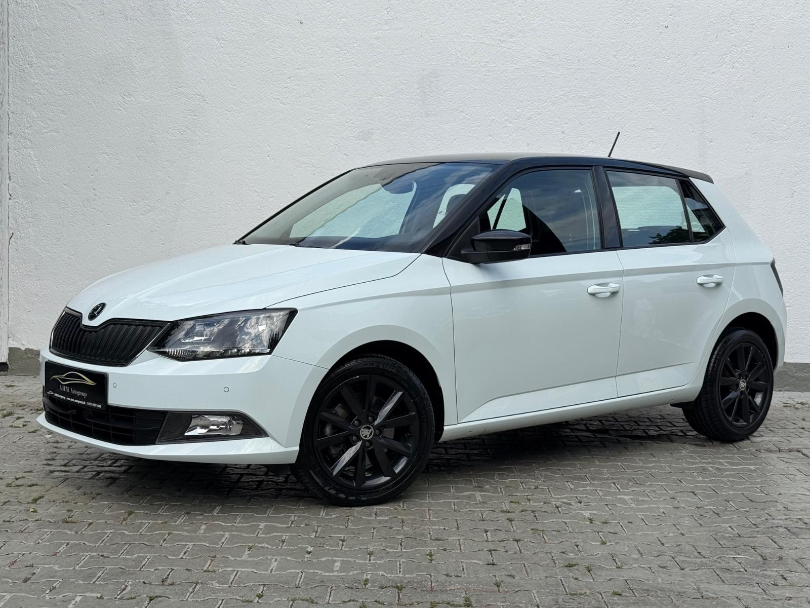Skoda Fabia 1.2 TSI DSG Style 1.Hand/55TKM/PDC/Sitzhzg