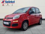 Fiat Panda Easy 1.2 8VEasy Komfort-Paket EU6d-T - Fiat Panda in Herne
