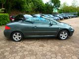 Peugeot 307 CC Filou 110 Cabrio*Klima*PDC* - Peugeot 307 in Dortmund