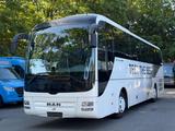 MAN R07 Lions Coach  (DE*TOP) Tourismo / S 515 HD - Angebote