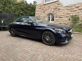 Mercedes-Benz C 300 Cabrio AMG/HighLicht/HighAss/Highinfo/360
