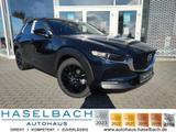 Mazda CX-30 Homura Klimaaut Sitzheizg Tempomat RFK Fre - Mazda CX-30 Tageszulassungen