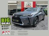 Lexus UX 250h Launch Edition AHK*Navi*KAM*DAB*SHZ - Lexus UX: Launch Edition