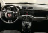 Fiat Panda 0.9 TwinAir Turbo Natural Power Young - Fiat Panda mit CNG-Antrieb