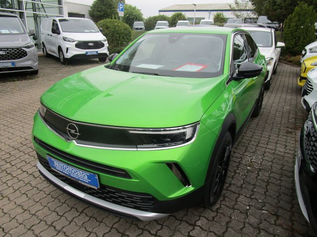 Mokka Elegance