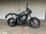 Beta Alp X Versand ab 214€ - BETA ALP
