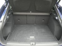 Cupra Terramar - Vorschau Bild 15