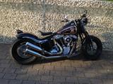 Harley-Davidson FLSTSB Crossbone 2011 zertifiziertes Einzelstk. - HARLEY-DAVIDSON FLSTS