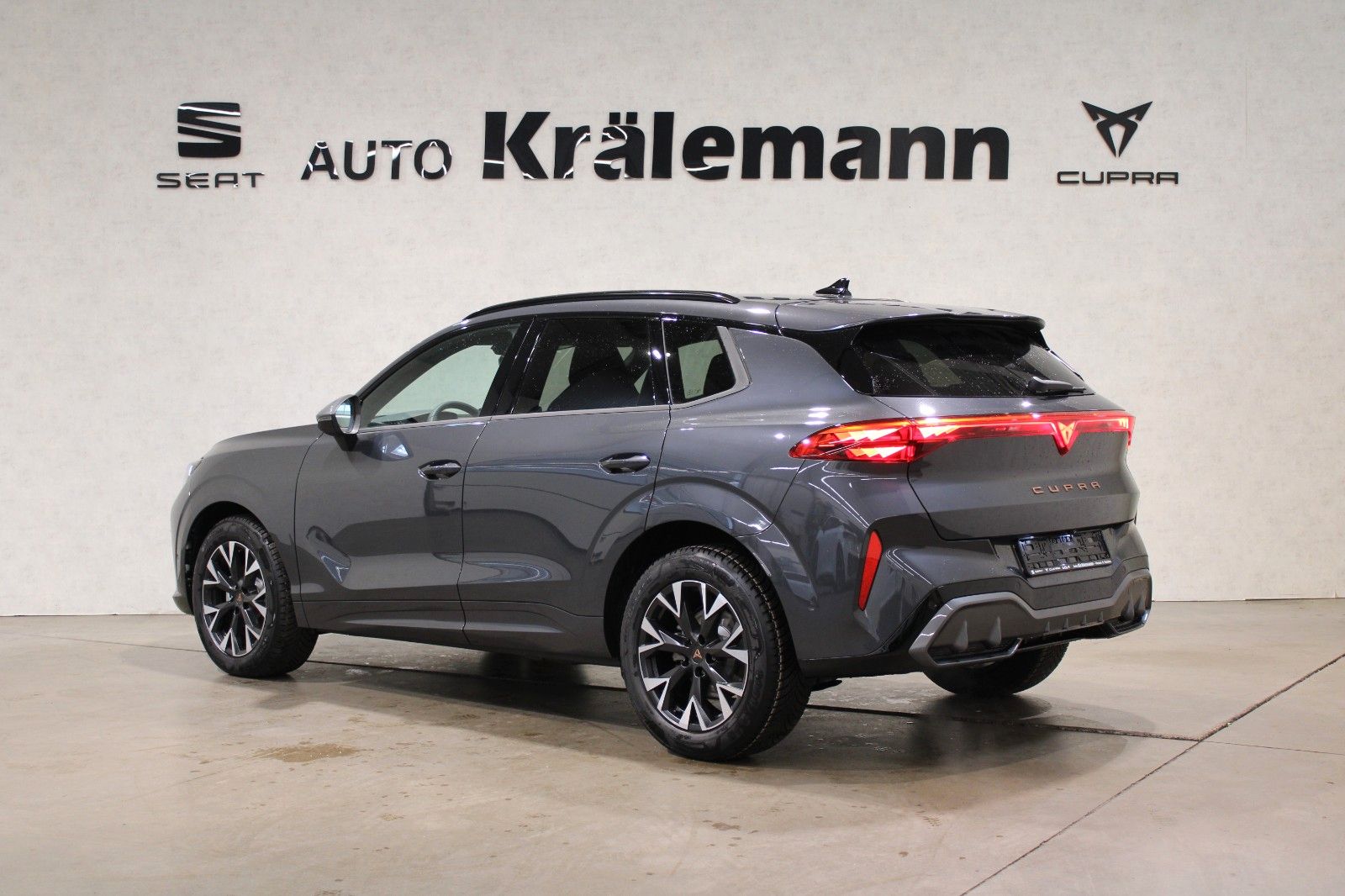 Cupra Terramar - Bild 5