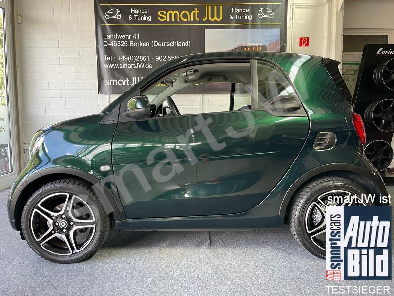 Smart grün met. Selected Colour 122 PS Leder Kamera F1