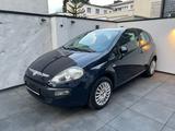 Fiat Punto Evo - gebrauchte Fiat Punto aus dem Jahr 2011