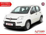 Fiat Panda 1.0 M-Hybrid Sport DAB PDC Klima USB - Fiat Panda: 1.0