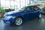 Skoda Octavia Drive/Business Columbus/Schiebedach/ACC - Skoda Octavia: Business