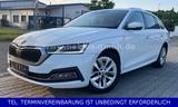 Skoda Octavia Combi 2,0 TDI Edition DSG LED 150PS - Skoda Gebrauchtwagen in Pforzheim