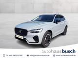 Volvo XC 60 T6 AWD Plug-in Hybrid Plus Dark T 5-Seat - Volvo XC60 Tageszulassungen
