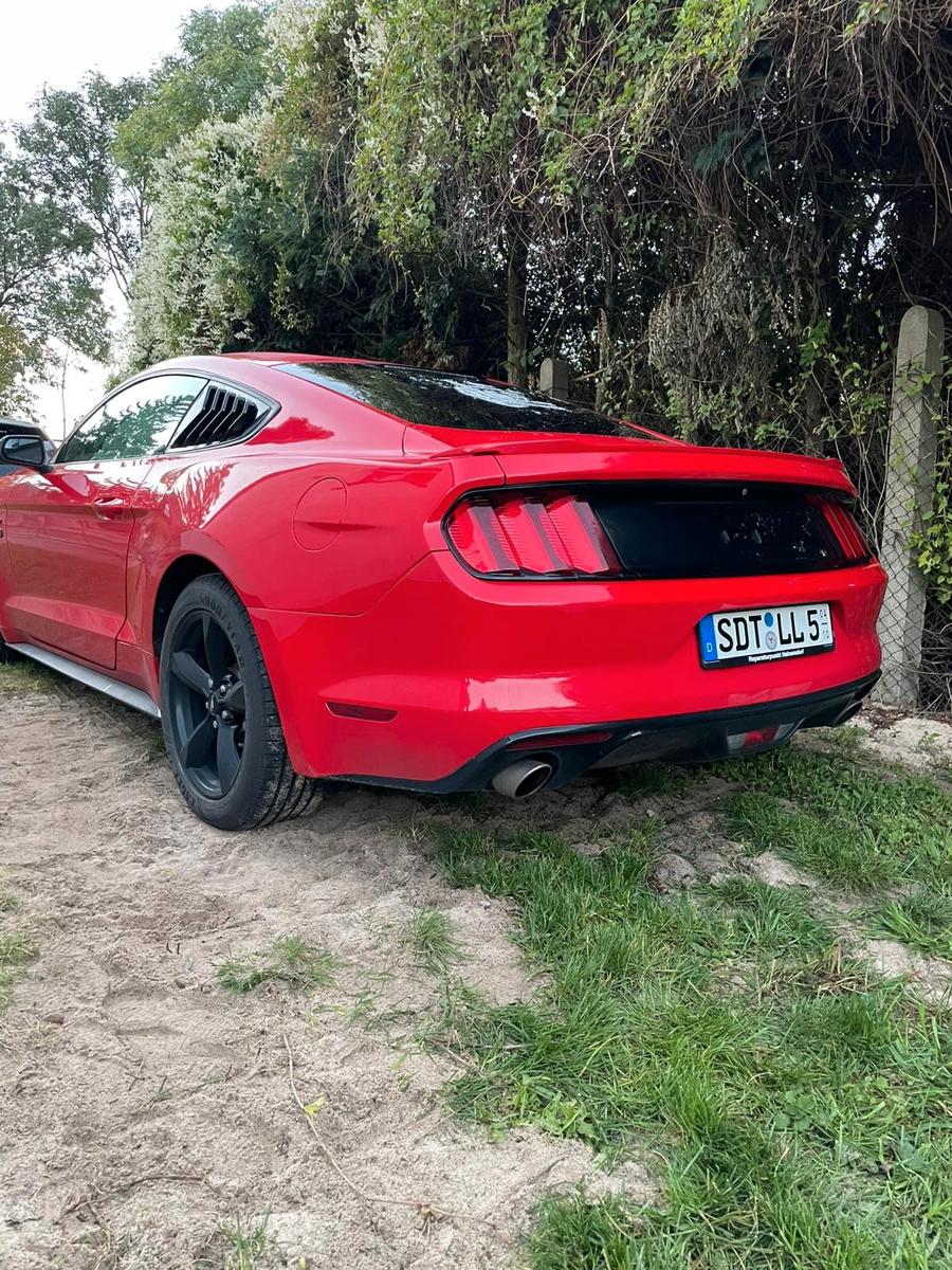 Ford Mustang 5.0 Ti-VCT V8 GT Auto GT TÜV neu