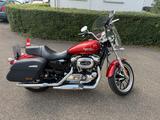 Harley-Davidson Sportster Superlow, XL1200T - HARLEY-DAVIDSON SPORTSTER SUPERLOW 1200T