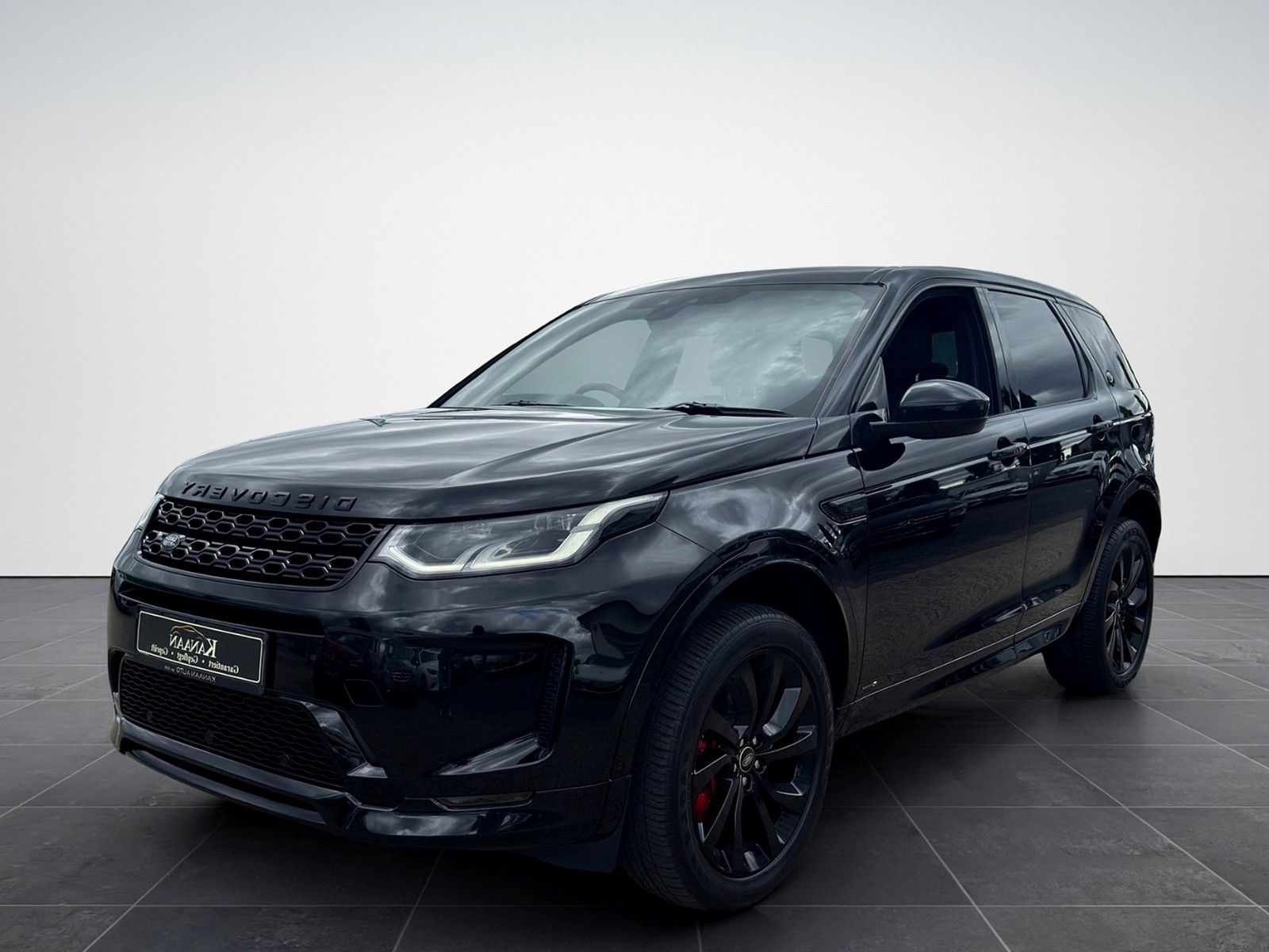 Land-Rover Discovery - 1