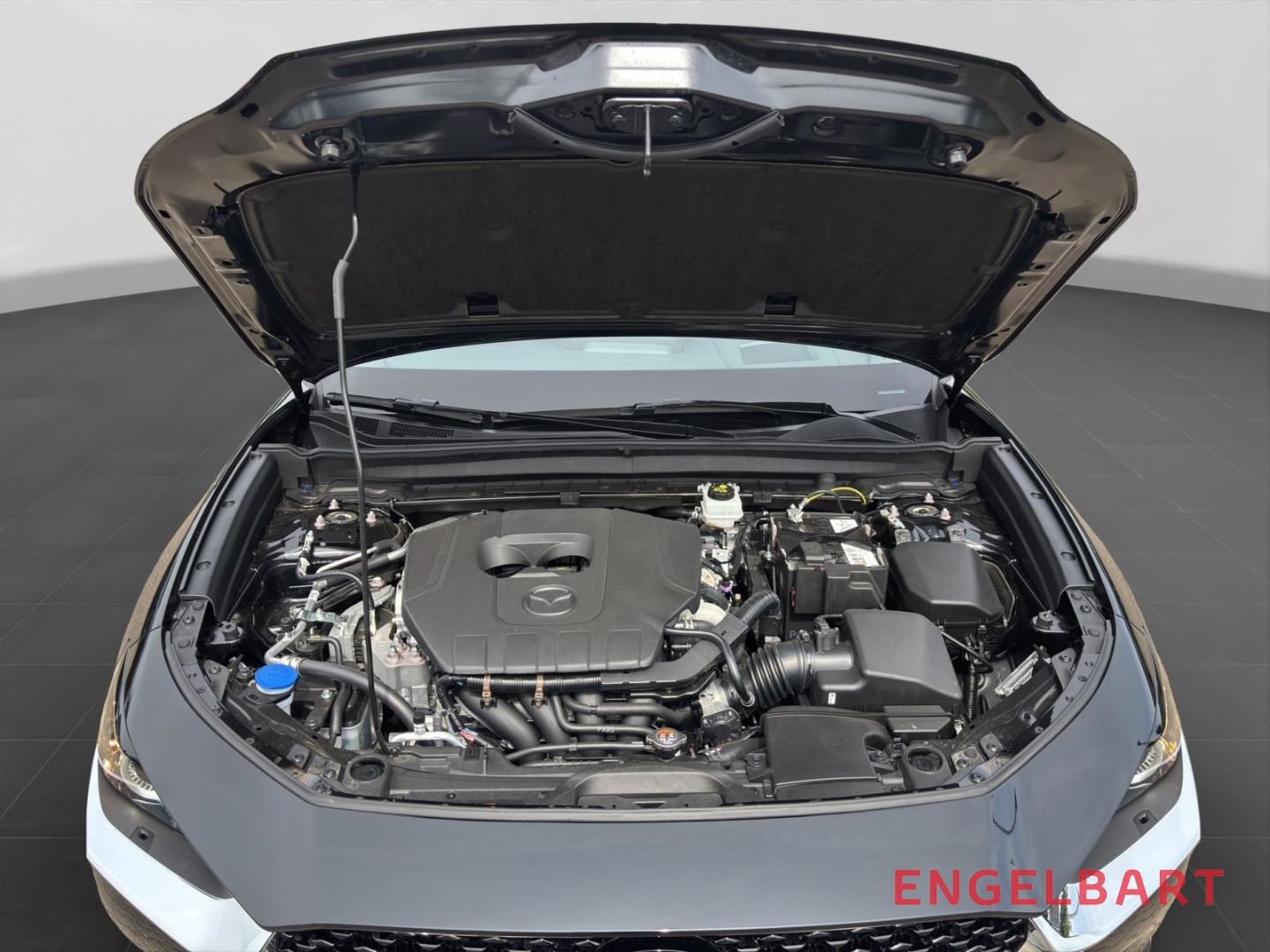 Mazda CX-30 - Bild 14