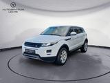 Land Rover Range Rover Evoque Pure/PANORAMA/KAMERA - gebrauchte Land Rover Range Rover Evoque aus dem Jahr 2014