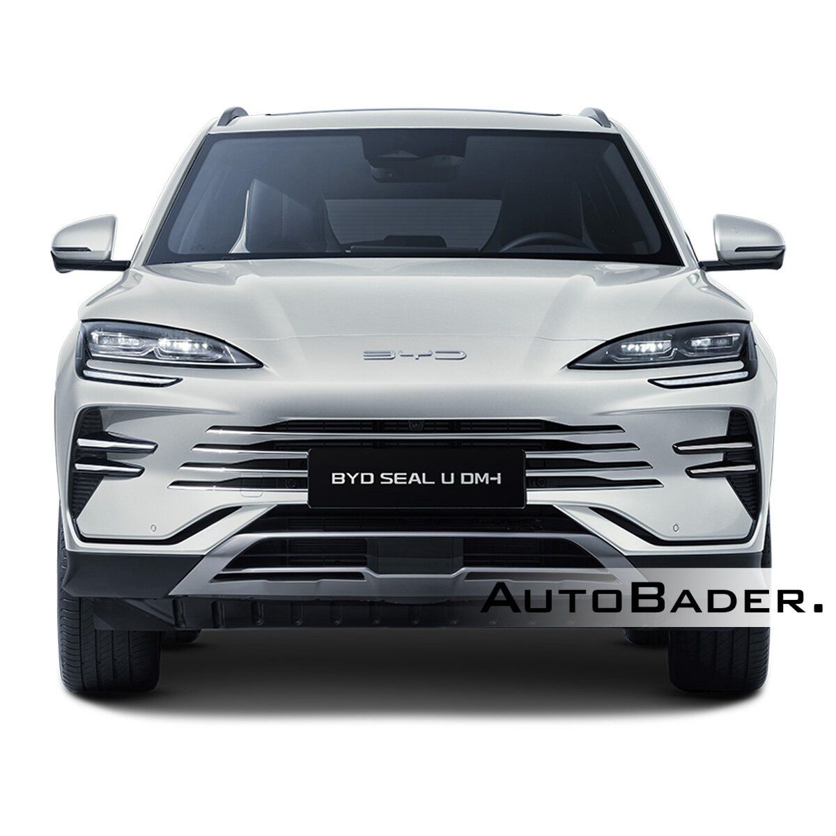 BYD Seal U DM-i DESIGN AWD LED PSD HUD ACC 360 Szkli imagem 3