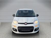 Fiat Panda Easy
