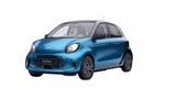 Smart EQ forfour Faltdach/WinterP/PlusP/RfCam/Sitzhzg - Smart ForFour in Chemnitz