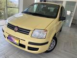 Fiat Panda 1.3 MJT70cv 16V Dynamic DA VETRINA201 - Fiat Panda Dynamic mit Diesel-Antrieb