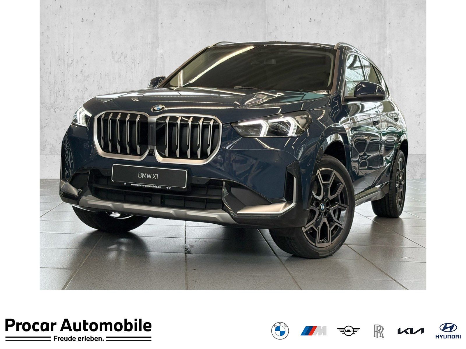 BMW X1 sDrive20i xLine HuD Pano 360° H/K DA+.
