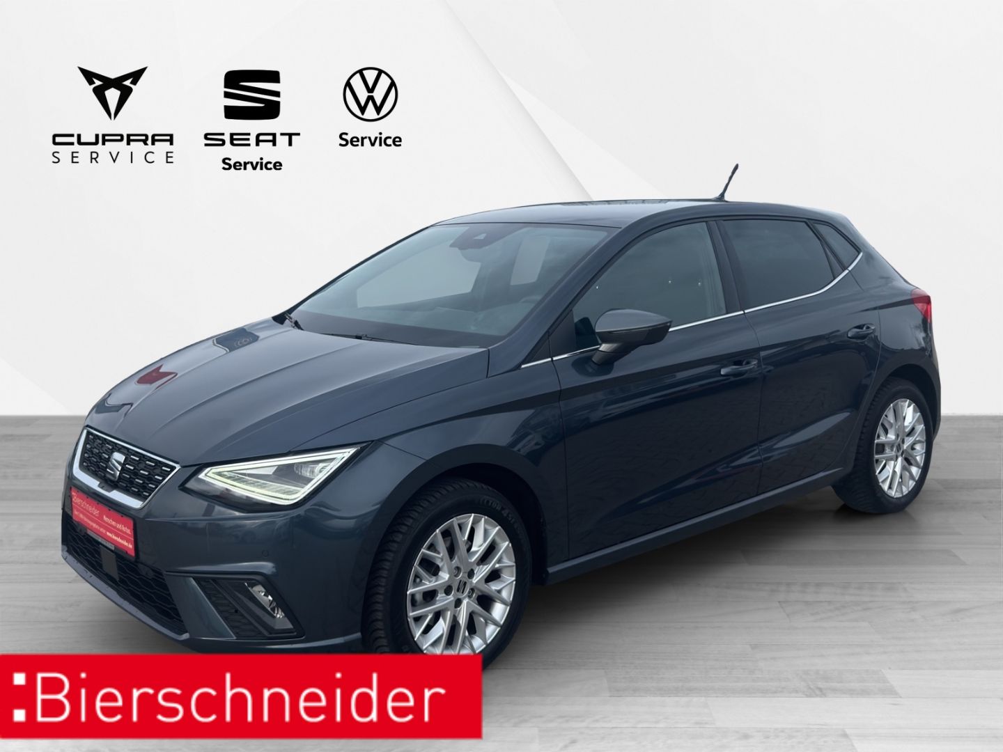Seat Ibiza 1.0 TSI DSG XCELLENCE LED Navi Kamera ACC 