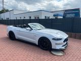 Ford Mustang GT 55 Jahre Edition 5,0 Carbo... - Ford Mustang: Edition