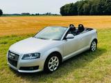 Audi A3 1.6 Cabrio-Topzustand-Klima-E-Verdeck-PDC-Alu - Audi A3: V6