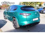Alfa Romeo Stelvio Quadrifoglio Q4 AD Navi Leder Digitales  - Alfa Romeo: Grün