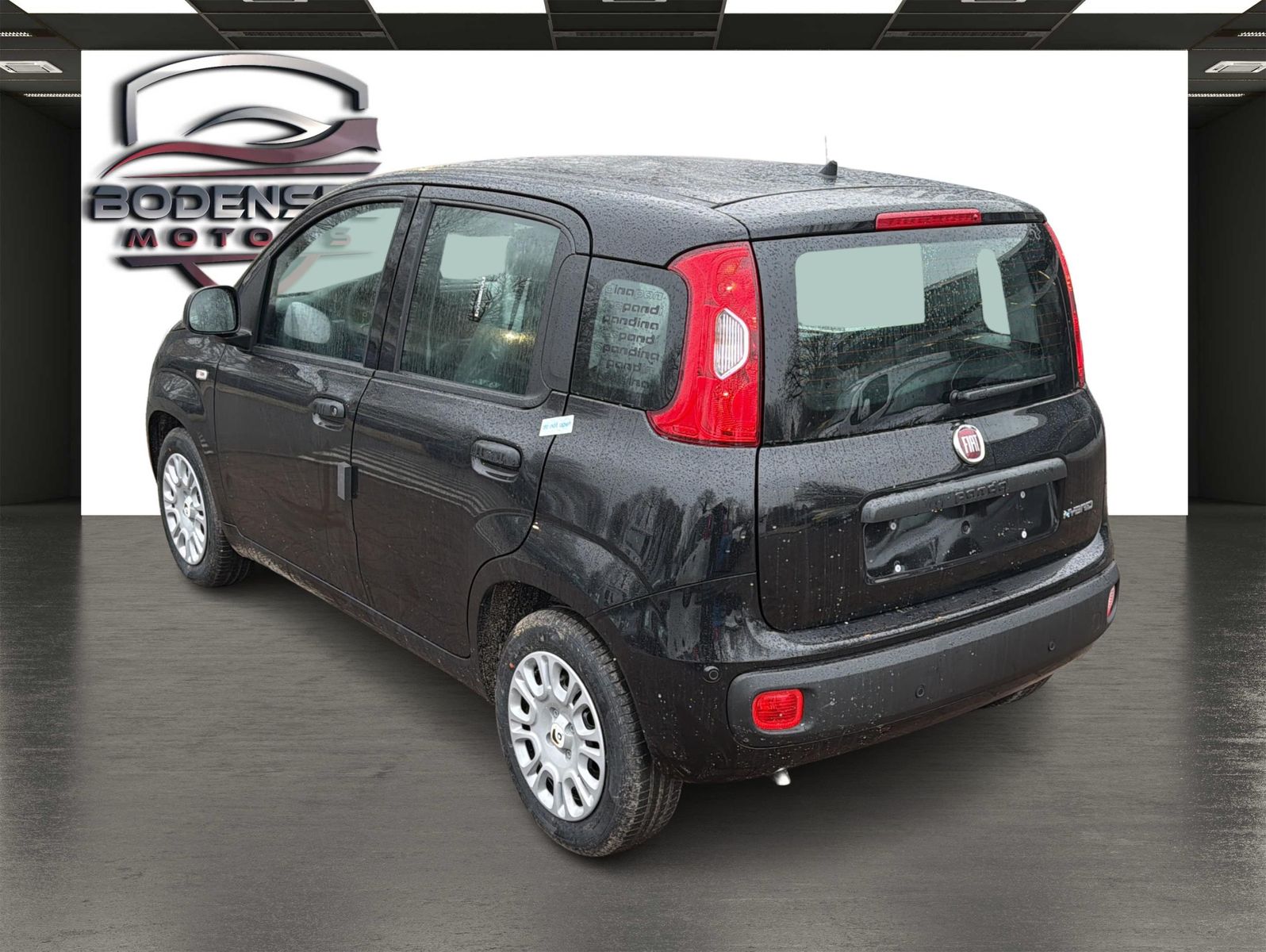 Fahrzeugabbildung Fiat Panda Pandina Icon