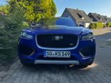 Jaguar F-Pace First Edition/R-Sport/22"/Pano/AHK/HUD - Jaguar F-Pace von privat