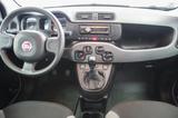 Fiat Panda City Plus 1.0 Klima Radio 1.Hand TÜV neu - gebrauchte Fiat Panda aus dem Jahr 2023