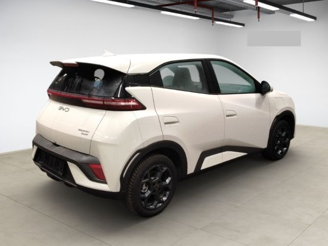 BYD DOLPHIN SURF