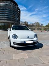 Volkswagen Beetle 1.6 TDI DSG Design BMT Cabriolet Desi... - Volkswagen Beetle: TDI
