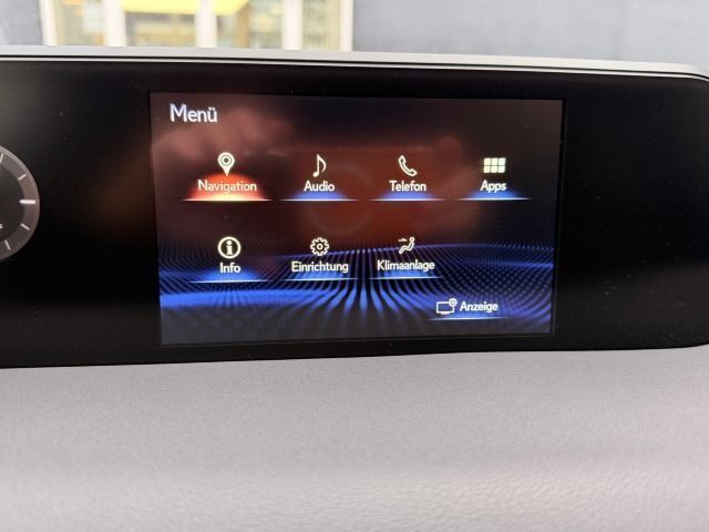 Fahrzeugabbildung Lexus UX 250h Style Edition Navi*Winterpaket*PDC*8fach