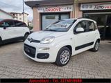 Fiat FIAT PANDA 1.2 TRUSSARDI - Fiat Panda TRUSSARDI