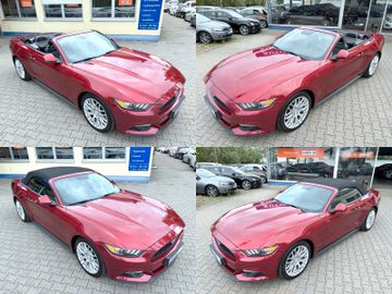 Ford Mustang - 7