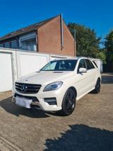Mercedes-Benz MlL 350 Cdi Bluetec Amp ab Werk - Mercedes-Benz 350: 350cdi