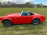 Austin Healey Andere