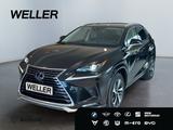 Lexus NX 300h Style Edition *Bi-LED*ACC*CAM*SHZ*CarPla - Lexus aus 2021
