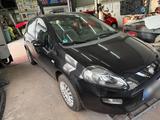 Fiat Punto 1.2   1. Hand - Fiat Punto in Essen