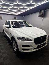 Jaguar F-Pace Prestige|LEDER|NAVI|BI-XENON|LM FELGEN - Jaguar mit Diesel-Antrieb