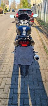 Suzuki Bandit 600 - Offers matching your search criteria