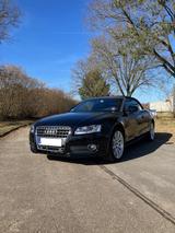 Audi A5 2.0 TFSI 132kW multitronic Cabriolet - - Audi A5 aus 2011: Cabrio