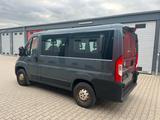 Citroën Jumper Kombi 30 L1H1 Live Blue-HDi 140 9SITZER - Citroën Jumper mit Diesel-Antrieb: Kleinbus, 9 Sitzer