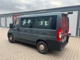 Citroën Jumper Kombi 30 L1H1 Live Blue-HDi 140 9SITZER - : Kleinbus, 14 Sitzer